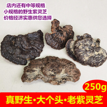 Super large head wild purple Ganoderma Lucidum Deep mountain black Ganoderma Lucidum natural Nyingchi wild pruning can be sliced 250g