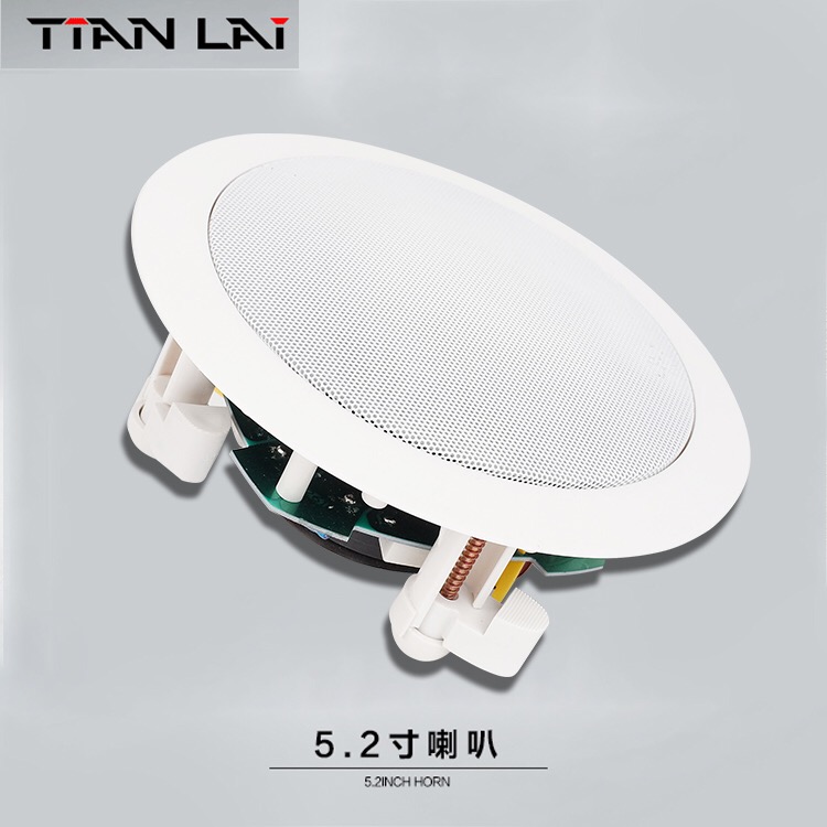 25 00 Tianyi Tl 51 Ceiling Speaker Background Bathroom