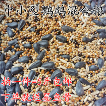 Tiger skin peony Xuanfeng small and medium-sized parrot bird food feed five-color millet parrot mixed nutrition grain Millet