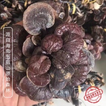 Hainan Wuzhishan pure wild Ganoderma lucidum bamboo Ganoderma lucidum black bamboo Ganoderma lucidum 250g dry goods half a catty