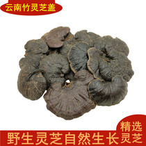 Ganoderma lucidum wild one catty of Yunnan pure wild bamboo Ganoderma lucidum cover pruned bulk black Linzhi purple Ganoderma chips 500g dry goods