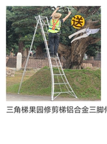 Triangle ladder Orchard pruning ladder Aluminum alloy three-legged telescopic ladder Gardening ladder Picking green garden ladder Ultra-long 7 meters