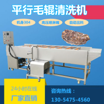  Commercial large-scale sea oysters scallops oysters oysters parallel hair roller cleaning machine jujube citrus cleaning and waxing machine