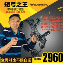 Challenger dual purpose steel ball composite bow and arrow small short axis shooting non-night blade villain fantasy world demon peak hunting bow