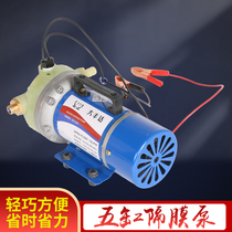 Dafengda five-cylinder diaphragm pump 12V24V48V60V DC high pressure sprayer electric sprayer high pressure pump