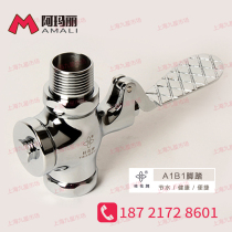 Osmanthus brand stool Flushing Valve all copper squatting toilet foot Flushing Valve toilet foot squatting pit delay valve