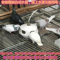 Pigeon automatic water feeder for pigeons automatic water feeder automatic water dispenser kettle pigeon sink feeding trough pigeons