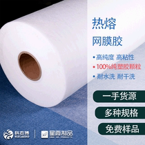 Hot-melt mesh glue garment fabric leather home textile non-elastic PA hot melt mesh film manufacturers