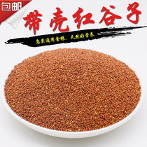 Red Millet Bird food with Shell Millet Bird grain tiger skin peon peony parrot food new red millet 5kg