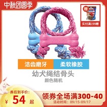 KONG United States imported natural rubber knot bone toy puppy small dog grinding tooth intelligence dog toy