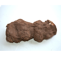 Yunnan Wild China 500g Yunnan White China White China with leather whole Poria Natural sunburn New goods National