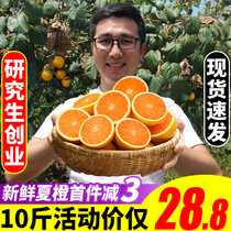 Jiangxi summer orange, navel orange, ice sugar, jelly, orange, fresh 10 jin, fruit, fresh in the season, full box, parcel post, big fruit, 20 kg