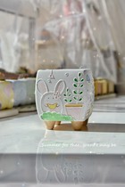 Chili Hand-painted Flower Pot Silico Pigment Hand-painted Cute Rabbit Rabbit Multi-Meat Flower Pots Breathable Coarse Pottery
