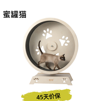 Honey pot cat creeper cat treadmill wheel cat creeper cat running wheel SF 190211