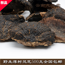 Genuine natural thin tree Ganoderma lucidum wild thin tree Linzhi layer pore spore 500g powder