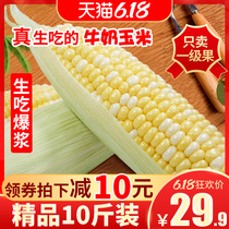 云南高原牛奶水果玉米新鲜10斤整箱现摘非黏糯玉米即食生吃甜玉米
