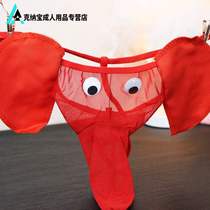 Male Lace Clairvoyant Elephant Briefs Female section Open Gear Pearl Underpants Lovers Spice Underwear lingerie Passion Clothing