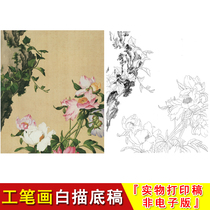 Lang Shining meticulous flowers and birds White trace manuscript fairy calyx Changchun book peony Chinese painting introduction copy HD material LT03