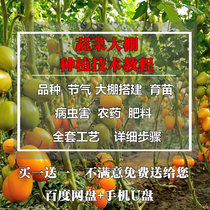 Vegetable technology video tutorial pest fertilization balcony planting greenhouse soilless cultivation fertilization data self-study