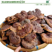 Authentic Yunnan deep mountains wild Ganoderma lucidum Ganoderma Jingzhi Linzhi a catty 20 500 grams new this year