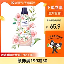 Gold spinning plant fragrance clothing home clothing clothing care agent red rose cardamom salon fragrance 700ml