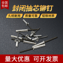  Closed core pulling aluminum rivets Waterproof pull rivets Countersunk head sealed pull rivets 3 2*7-5*30