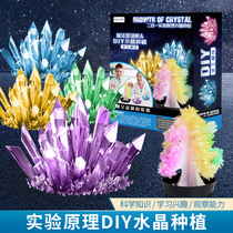 Childrens fun science experiment handmade DIY self-planting crystal growth chemical planting Crystal Christmas tree