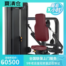 Original LIFEFITNESS Brand Insignia Series Triceps Trainer SSTP