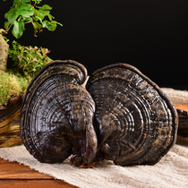 Northeast specialty Changbai Mountain wild black Ganoderma lucidum purple Ganoderma lucidum free slice 250g