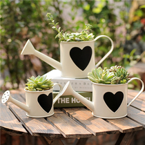 (Shangshan) Retro Tin Multi Meat Flower Pot Watering Pot Styling Flower Pot Florator Waterproof Iron Barrel Field Garnish
