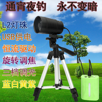 L2 Blue Light Night Fishing Light Fishing Light Fishing Light 100W Dual Light Source Swivel Adjustable Focusing Aperture USB Powered Fishing Desk Fishing Light