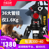 送球碗平台佳鑫悦三脚架碳纤维长焦打鸟大炮摄像三角架单反