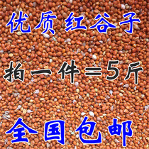 High-quality shelled red millet brightening coat color full bird food bird food bird food tiger skin parrot Pearl National one piece