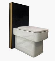 ARROW AB2168 Wall-mounted Toilet