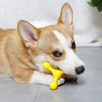 Dogs dont pour glue toys Corgi Teddy small dogs puppies puzzle training bite-resistant artifact