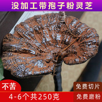  Ganoderma Lucidum Wild Yunnan deep mountain not bitter with spore powder Nyingchi Pruning Wild Zhi Semi-wild Purple Zhi 250g