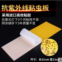 Barbara fly-killing lamp sticky fly paper is suitable for sticky capture armyworm board paper mosquito fly cardboard sticky 10 sheets