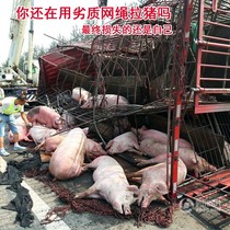 Wear-resistant nylon pull pig net escape net large and small truck cover car net pull pig car net pull sheep catch pig net