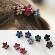 Headdress Korean hair clip simple and versatile bangs catch clip girl baby flower