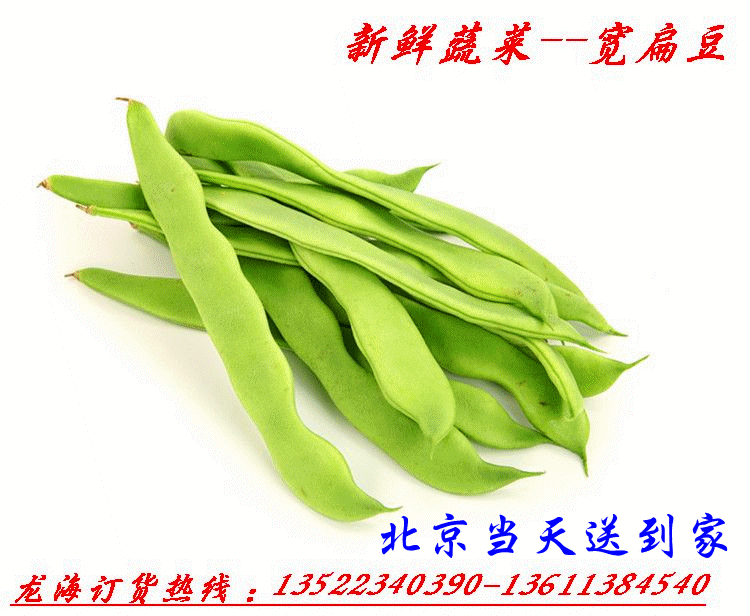 京城是真是假【送钱464l685[q]】99b