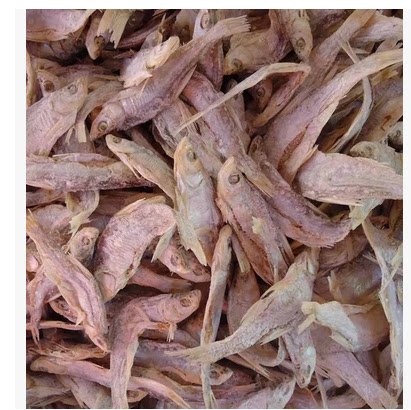 兴凯湖野生麻鲢小漂鱼干 一斤500克 一条10厘米左右 鸡西密山