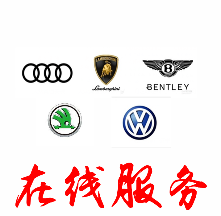 vas 5054a大众奥迪斯柯达odis在线编程帐号geko帐号登录密码账号