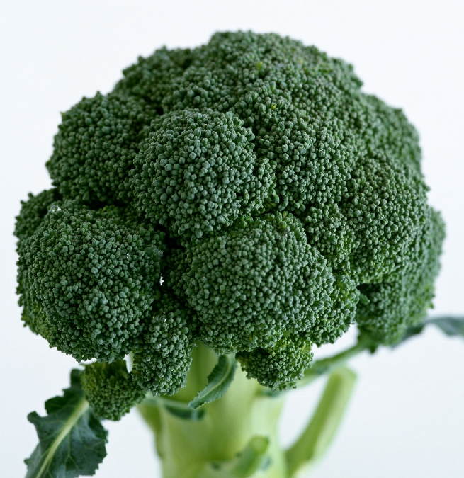 西兰花 绿菜花 有机种植 新鲜蔬菜 当日采摘当日达