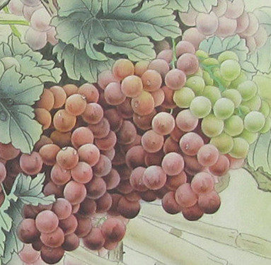 梅兰竹菊四条屏纯手绘画芯-梅兰竹菊四条屏纯手绘画芯促销价格、梅兰竹