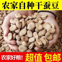 Shanxi new dry broad bean dry goods grain raw broad bean Luohan Bean Bean Bean Bean self-grown edible broad bean 5kg