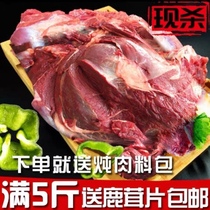 Northeast Sambo Jilin Changbai Mountain fresh freshly killed non-cooked frozen sika deer meat Yunda