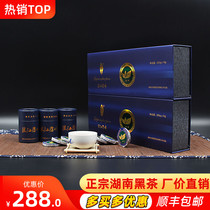 Hunan Anhua Black Tea Bao Tailong Qujiang Thin Gold Coin Tea Aged Factory Price Tea Gift Box