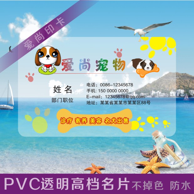 宠物名片|动物pvc名片|卡通小狗透明磨砂名片|印刷设计模版pvc087