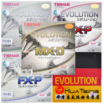 Tibhar tall and straight EL-P FX-P MX-P national team change energy soft table tennis rubber set
