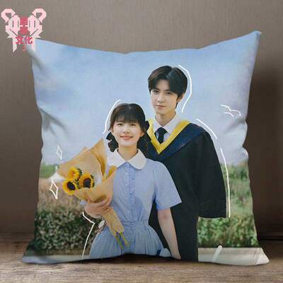 taobao agent Stealing Zhao Lusi Sangzhi Chen Zheyuan, maybe the same pillow around the surrounding pillow custom nap